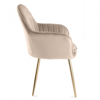 Genesis Muse Chair in Velvet Fabric -Taupe